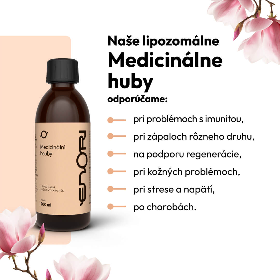 Medicinalne huby